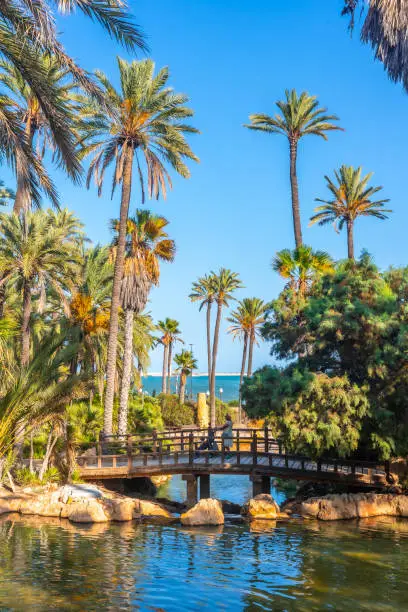 Photo of Walking with the grandson on a bridge in the El Palmeral park in the city of Alicante