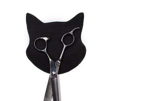 Craft paper black cat. Creative cat head and scissors. Children's art project, craft for children.