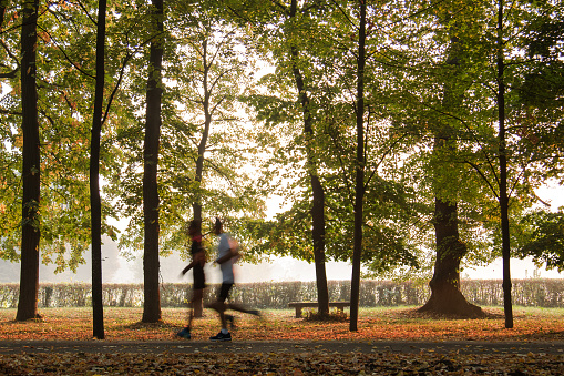 In autumn, two peoples running in a park. The subjects are not in focus (moved), to not be recognized