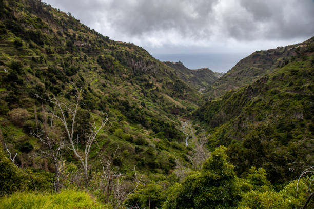 istock The Levada do Moinho to Levada Nova waterfall hike 1431357971