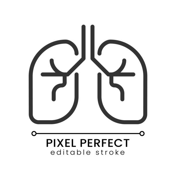 ilustraciones, imágenes clip art, dibujos animados e iconos de stock de pulmones humanos píxel perfecto icono lineal - human lung