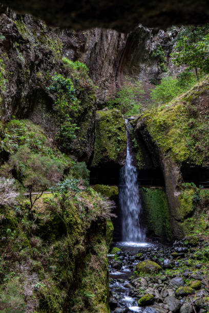 istock The Levada do Moinho to Levada Nova waterfall hike 1431358392