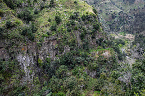 istock The Levada do Moinho to Levada Nova waterfall hike 1431359070