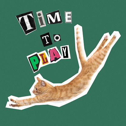 Playing. Contemporary art collage, design in magazine style with happy jumping cat isolated over green background. Animals with human emotions. Concept of rest, surrealism, fun, creativity, inspiration.