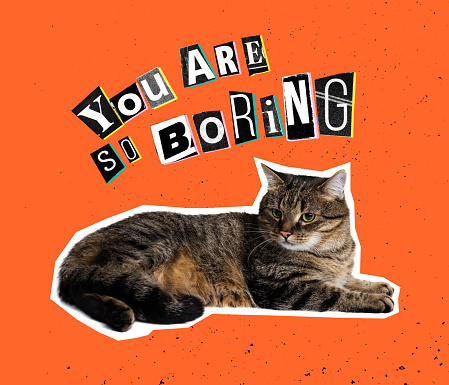 You are so boring. Contemporary art collage, design in magazine style with funny cat isolated over red background. Animals with human emotions. Concept of humor, surrealism, creativity, inspiration.