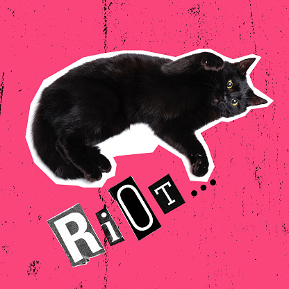 Riot. Contemporary art collage, design in magazine style with funny black cat isolated over pink background. Animals with human emotions. Concept of protest, riot, right, fight, surrealism, creativity.