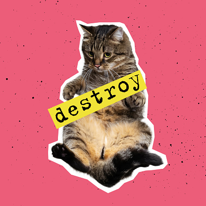 Destroy. Contemporary art pop collage, design in magazine style with funny cat isolated over pink background. Animals with human emotions. Concept of self-confident, surrealism, protest, creativity.