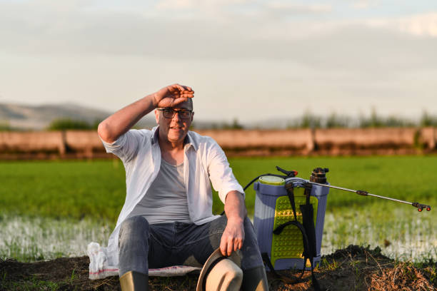 istock Tired Farmer Taking A Breath After Spraying Rice Fields 1431365422