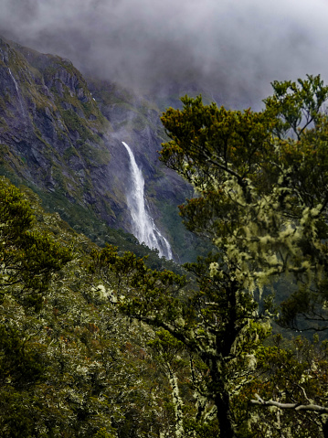 Earland Falls, Routeburn Track, Fiordland National Park, New Zealand.