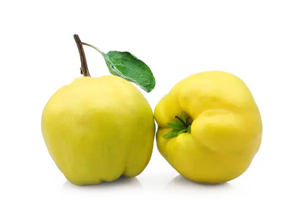 Fresh yellow apple quince isolated on white background