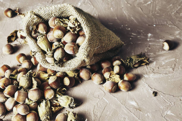istock hazelnuts spilled on the table from a canvas bag close-up 1431372091