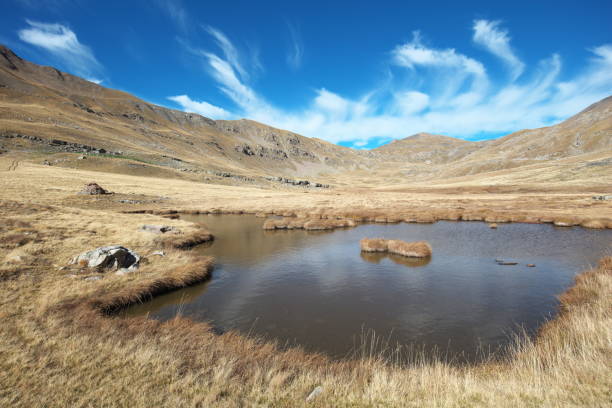 istock Peat bog and cirrus clouds in the Restefond valley 1431374131