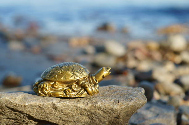 istock A metal turtle on the riverbank. 1431375405