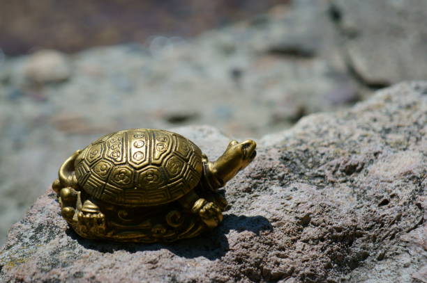 istock A metal turtle on the riverbank. 1431375552