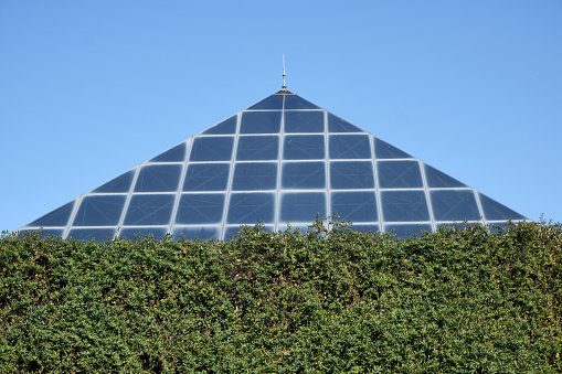 Close-up of triangle rooftop with panels. A hedge in the foreground.