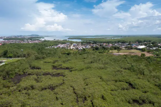View from a drone of mangroves with houses near the coast of the Pacific Ocean in the background. Colombia