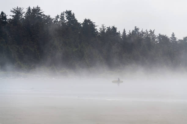 istock Surfer in the Mist, Tofino, Canada 1431386255