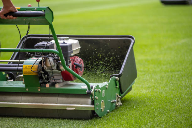 istock Green grass soccer field 1431392394