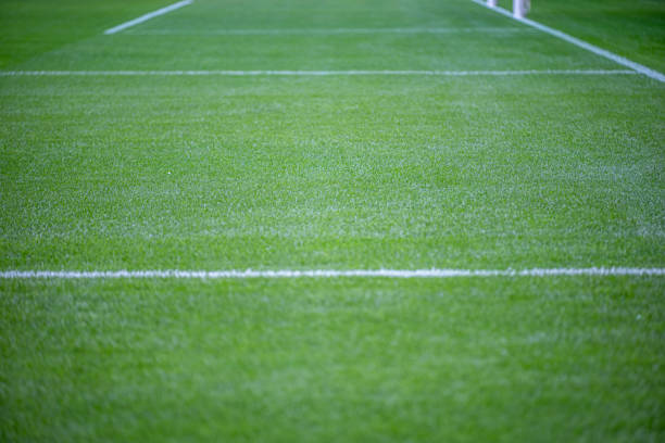 istock Green grass soccer field 1431392426