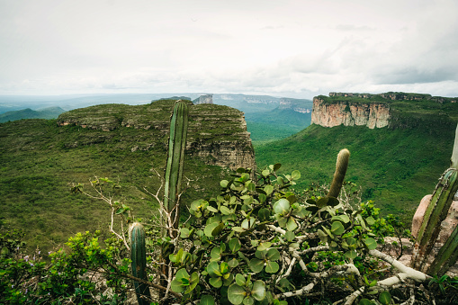 wide panoramic view over the green highlands of Chapada Diamantina in Bahia, Brazil