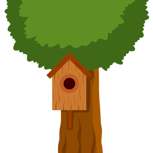 vogelhaus hängt am baum. haus für vögel. frühlingsnest des waldtieres. - birdhouse animal nest house residential structure stock-grafiken, -clipart, -cartoons und -symbole