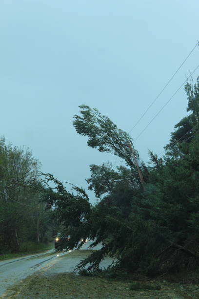 istock Hurricane Fiona Hits Nova Scotia's North Shore 1431398482
