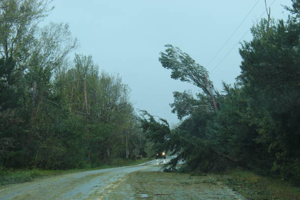 istock Hurricane Fiona Hits Nova Scotia's North Shore 1431398513