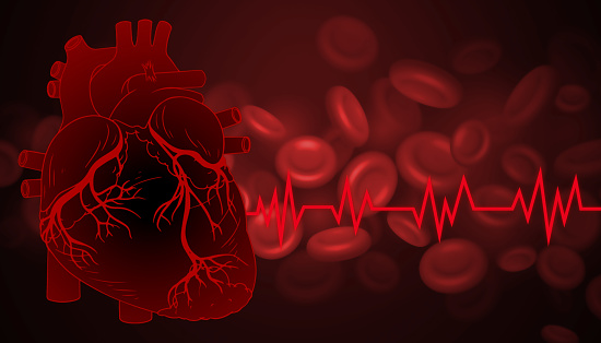 Human heart with red blood cells, medical images, medical background images