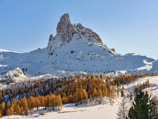 Autumn foliage in the woods of the Dolomites, overlooking Monte Becco di Mezzodì in Cortina d'Ampezzo, Veneto, Italy, Europe, wooded areas and lakes, a popular place for hiking, cycling and rock climbing. Unmistakable peak of the Croda da Lago group in Cortina, the sundial of the Ampezzo people. follaje otoñal en los bosques de los dolomitas, con vistas al monte becco di mezzodì en cortina d'ampezzo, véneto, italia, europa, zonas boscosas y lagos, un lugar popular para practicar senderismo, ciclismo y escalada en roca. pico inconfundible del gr