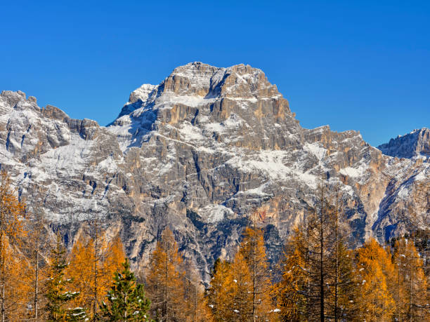 Autumn foliage in the woods at the foot of the snow-capped Croda da Lago mountain range, in the Dolomites, Cortina dAmpezzo, Veneto, Italy, Europe. Range with characteristic peaks, wooded areas and lakes, a popular place for hiking and cycling. follaje otoñal en los bosques al pie de la cordillera nevada croda da lago, en los dolomitas, cortina dampezzo, véneto, italia, europa. cordillera con picos característicos, zonas boscosas y lagos, un lugar popular para practicar senderismo y ciclismo.