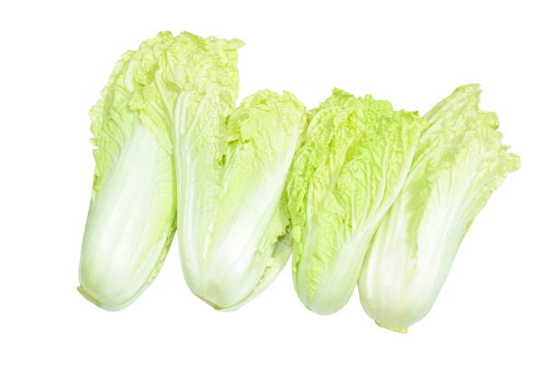 istock fresh white Chinese cabbage vegetable salad with drop of water arranging on white background 1431410543