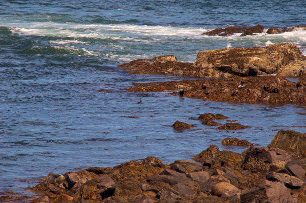 istock Rising tide as waves crash on rocky shoreline 1431412451