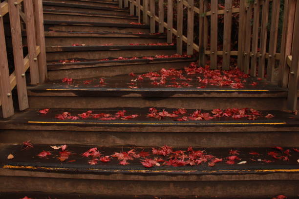 Beautiful stair filled with flowers in Autumn Season
