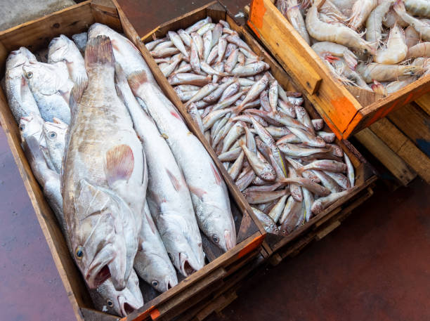 Fish Market, Antalya, Turkey