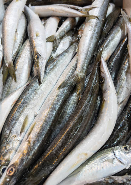 istock Large group of pike fish in fish market 1431418692