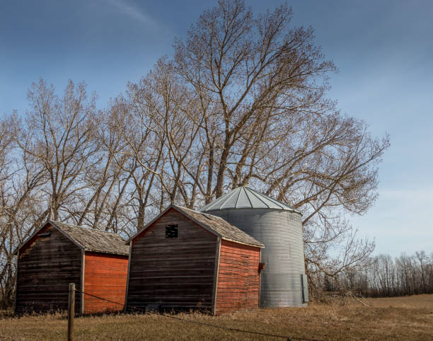 istock Farm out buildings in a field Markerville Alberta Canada 1431418872