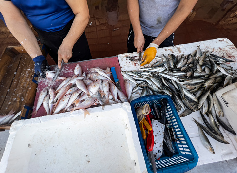 Sousse, Tunisia -  7 November 2019: people selling fish at the market on the medina of Sousse in Tunisia