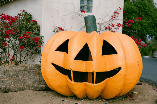 Jack o lantern at the pumpkin patch in Fallbrook, California, United States