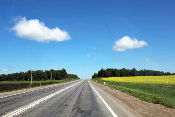 istock Asphalt road going over the horizon on a sunny day 1431421640