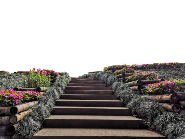 flowers and stair isolated include path