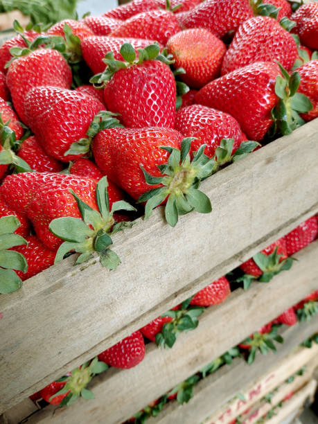 istock Strawberries in stacked wooden crates 1431428900