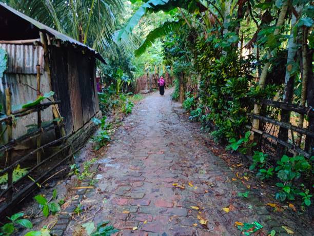 istock Clean  road with trees on both sides in the village 1431440547