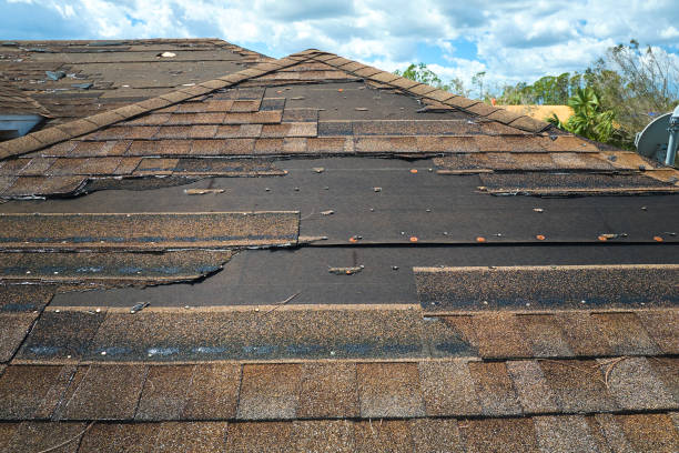 damaged house roof with missing shingles after hurricane ian in florida. consequences of natural disaster - roof leak imagens e fotografias de stock