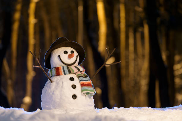istock Snowman in the evening park 1431442603