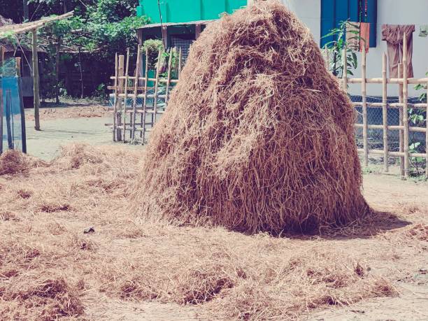 Cow Hay and printable perfect for use in a wide range of new media templates: Web Marketing Agency, Social Media Services Showcase, Online Marketing Apps and Web.