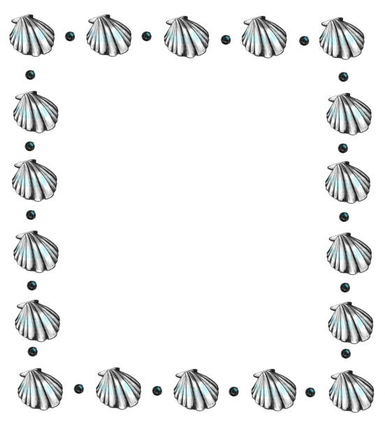 istock frame with seashells drawn in black pencil and pearls with turquoise inserts with empty space 1431447087
