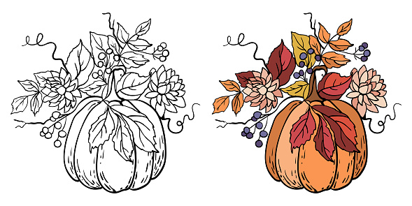 Autumn composition of pumpkin, dark red leaves and berries. Happy Thanksgiving vector illustration. Harvest festival design. Doodle pumpkins.