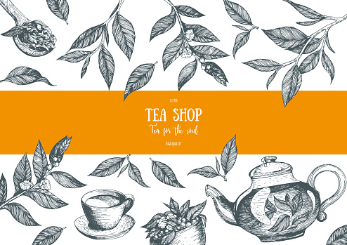 Tea Vector Illustration Vector Card Design With Tea Poster For Tea ...