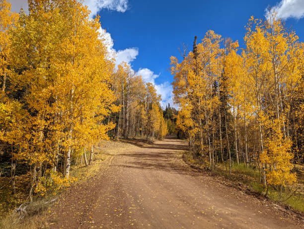istock Fall colors on backroad over Cedar Mountain to Cedar Breaks National Monument and Navajo Lake Utah 1431449664
