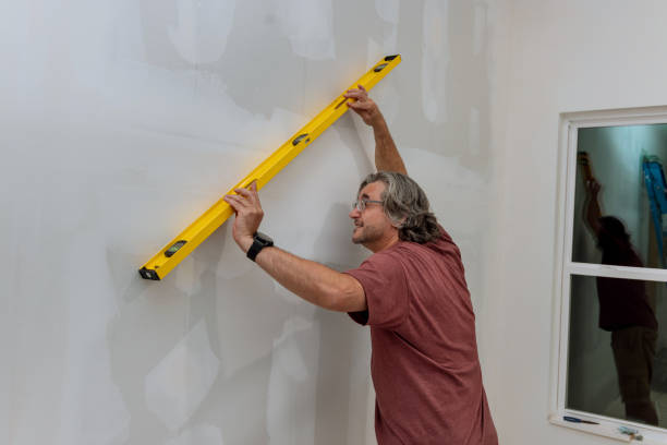 istock Before painting a wall of drywall, an employee makes sure that it is level by using a level 1431450465